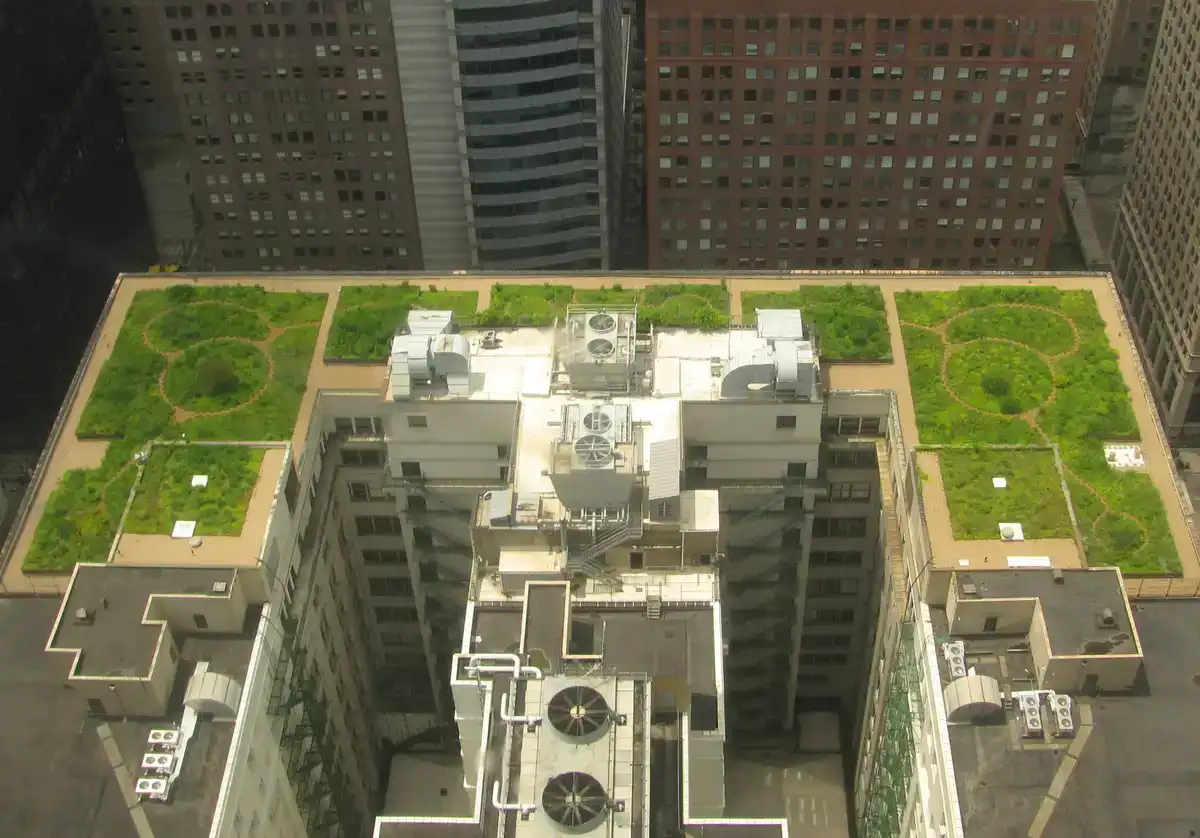 Luftaufnahme des begrünten Dachs des Chicago City Hall (Green Roof)
