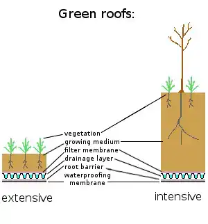 Schema: Aufbau eines extensiven vs. intensiven Gründachs (Infografik)